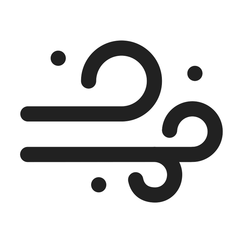 Ic fluent weather blowing snow 24 regular
