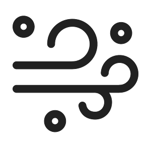 Ic fluent weather duststorm 48 regular