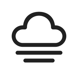 Ic fluent weather fog 20 regular