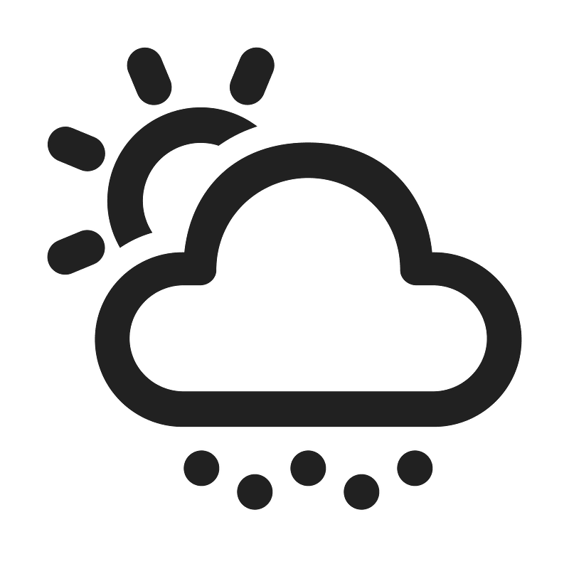 Ic fluent weather snow shower day 24 regular