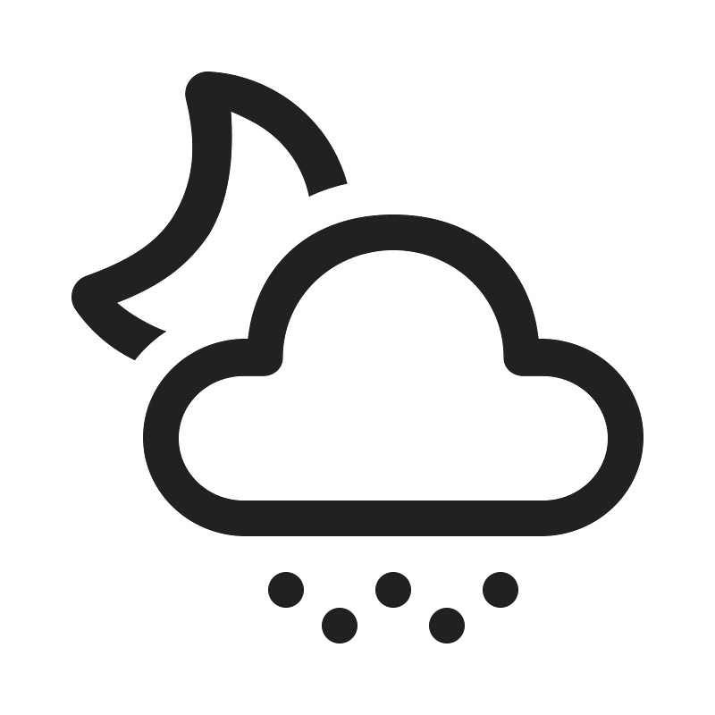 Ic fluent weather snow shower night 20 regular