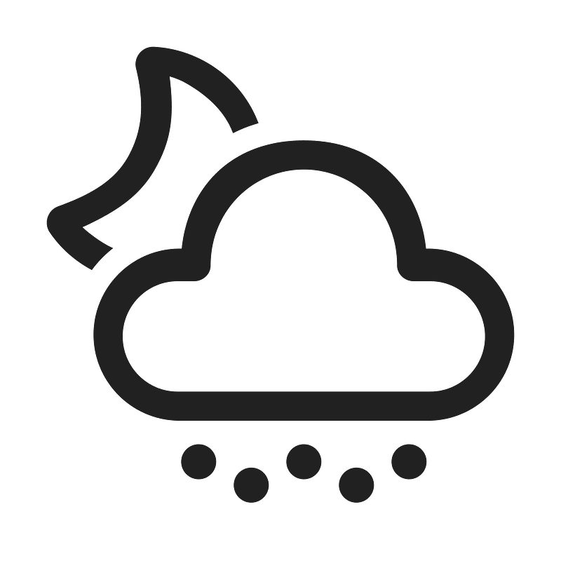 Ic fluent weather snow shower night 48 regular