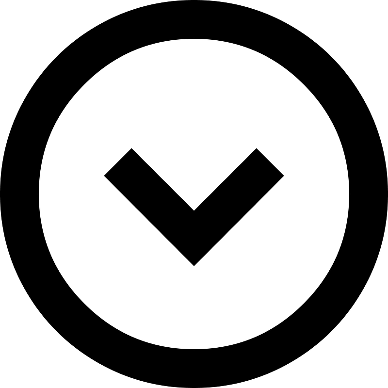 Bottom outline