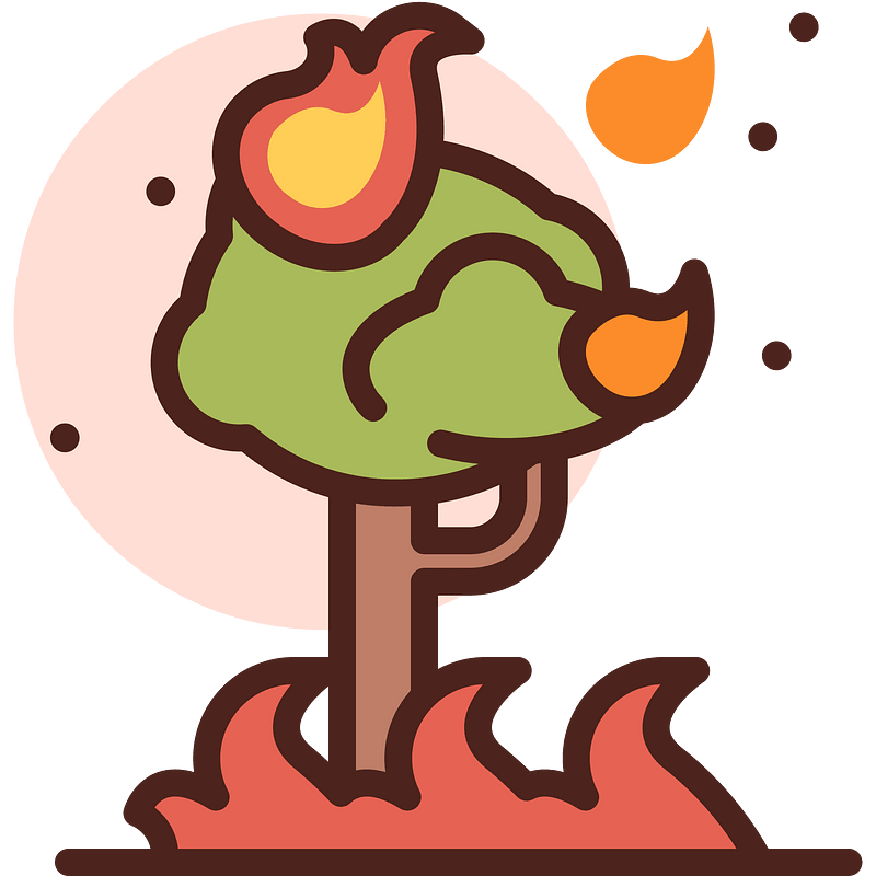 Forest-burn