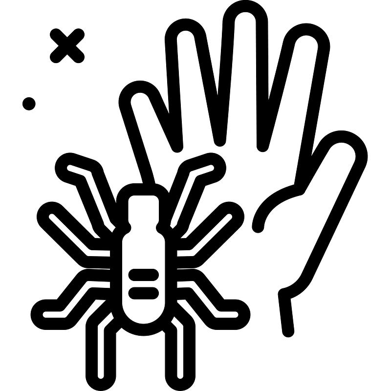 Tarantula