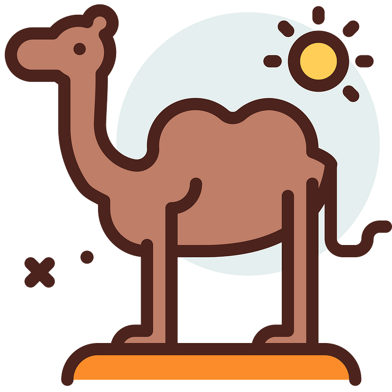 Camel