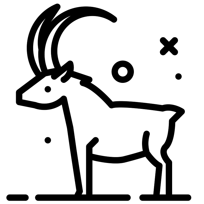 Ram