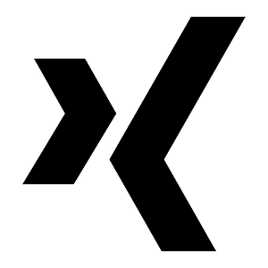 Logo-xing