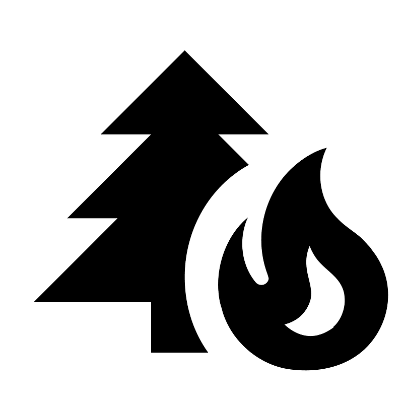 Pine-tree-fire