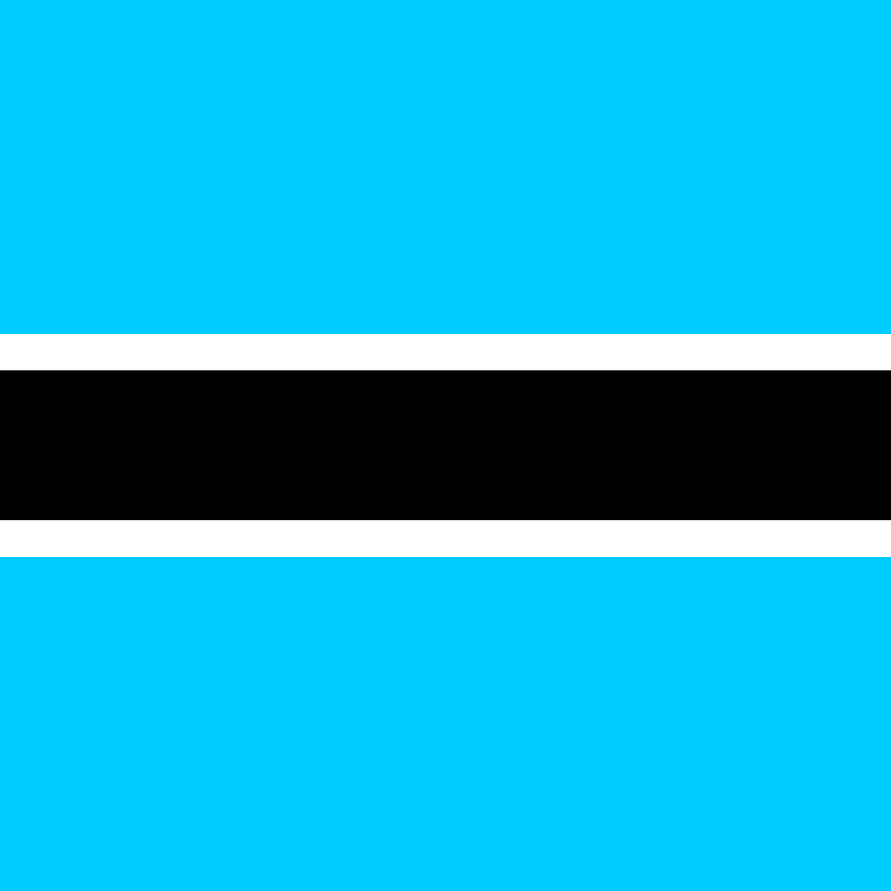 BW flag