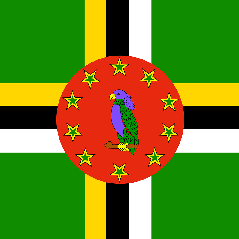 DM flag
