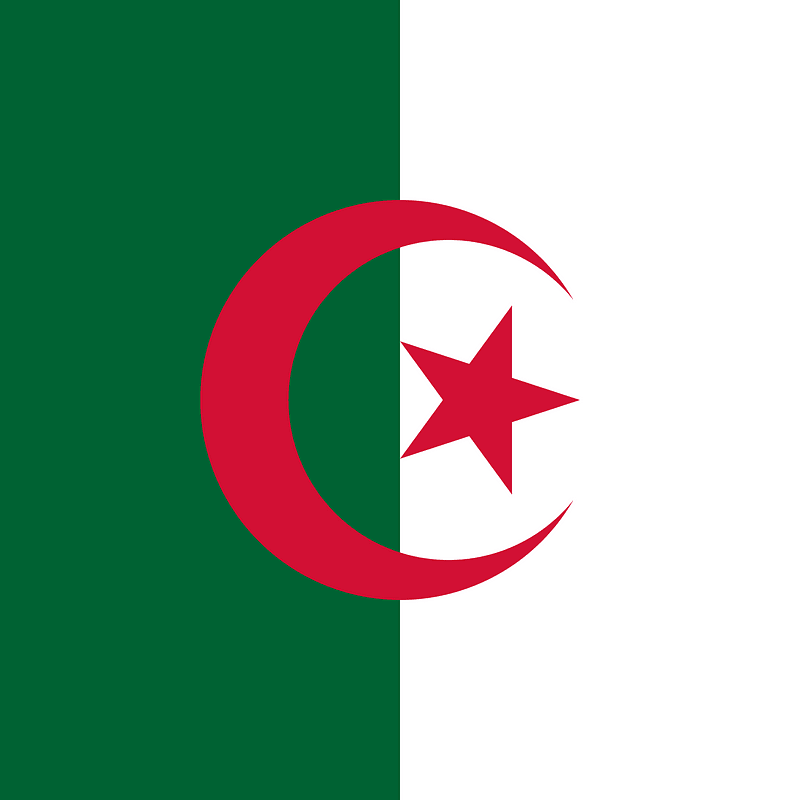 DZ flag