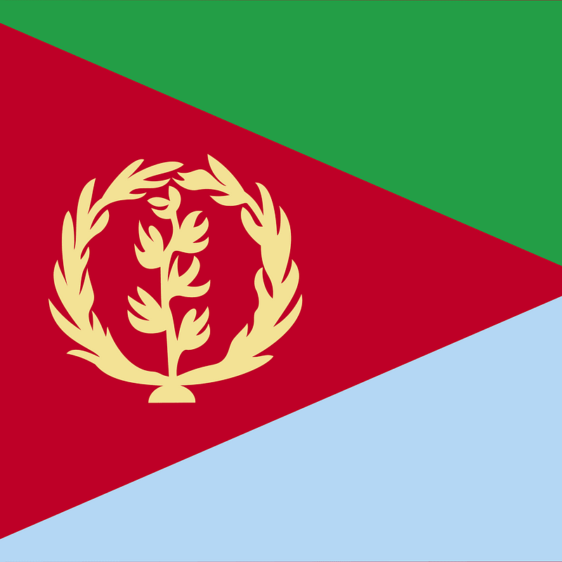 ER flag
