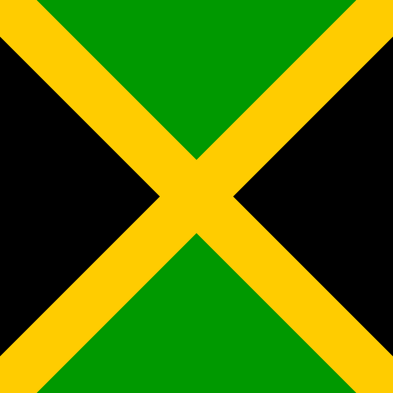 JM flag