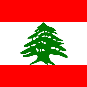 LB flag