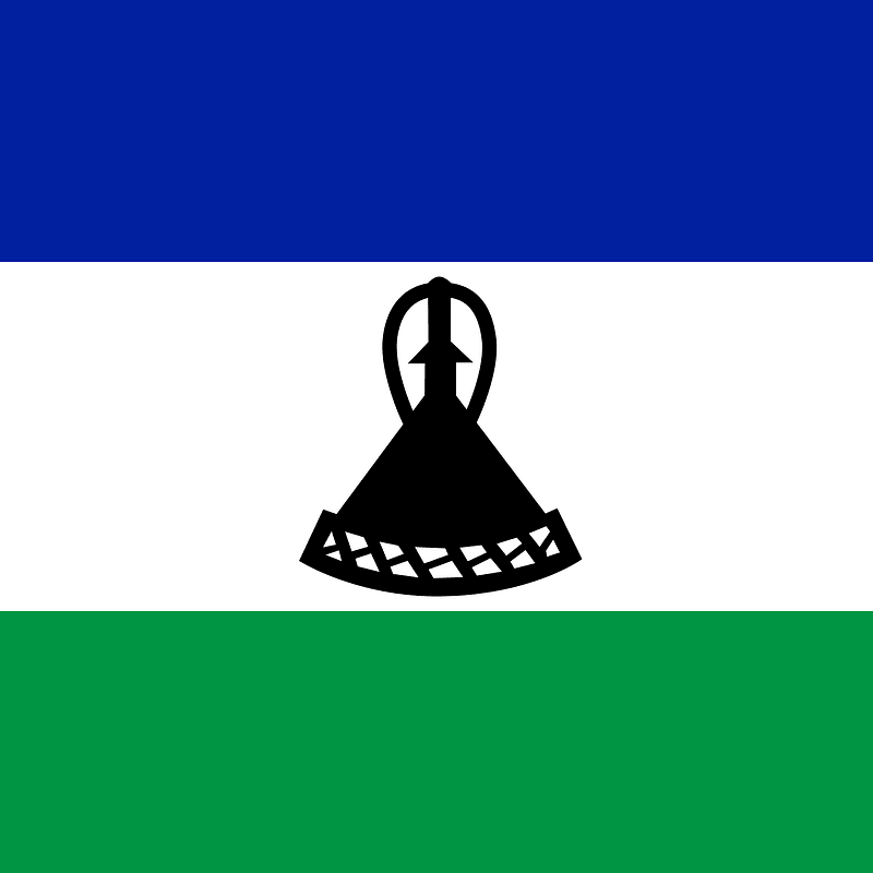 LS flag