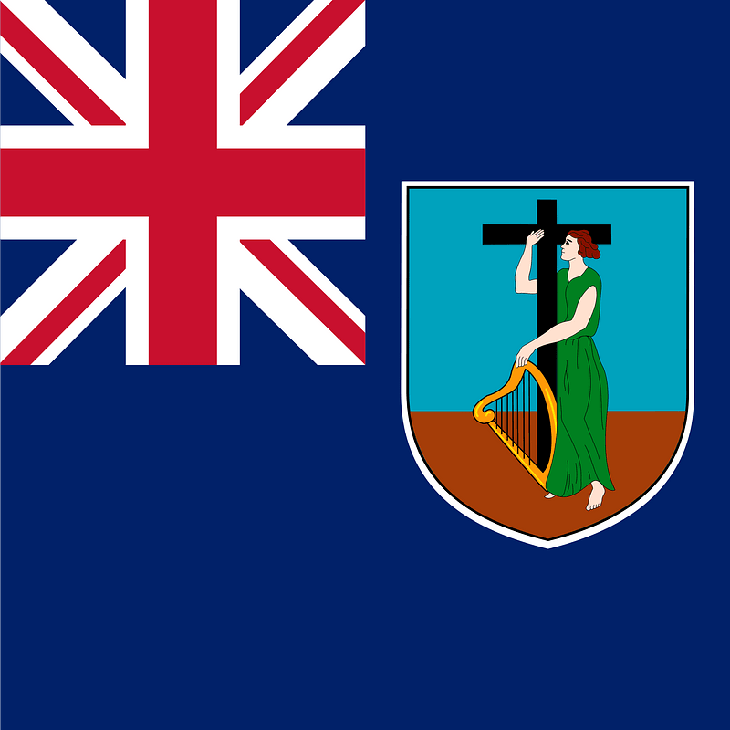 MS flag
