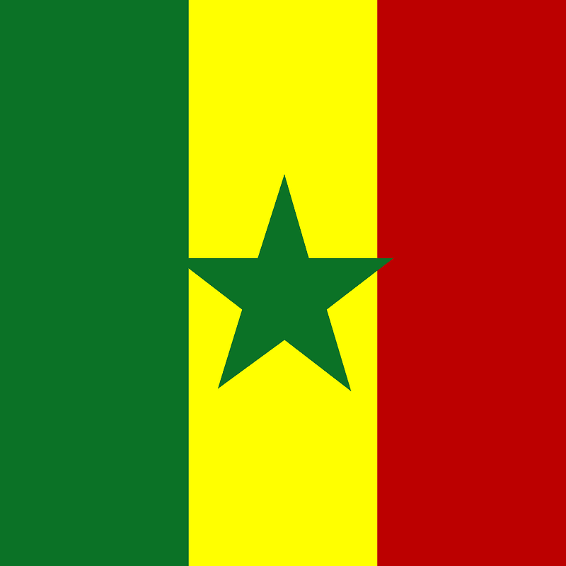 SN flag