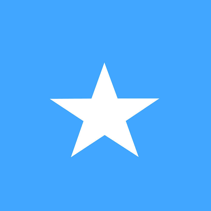 SO flag