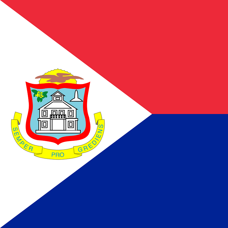 SX flag