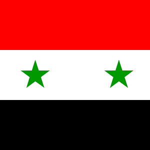 SY flag
