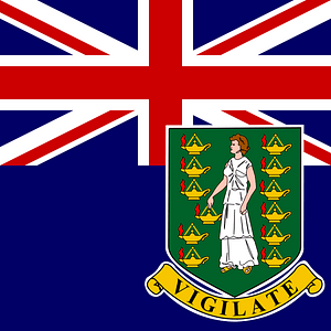 VG flag