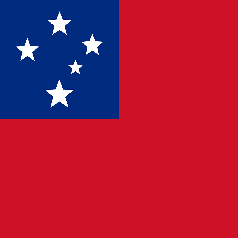 WS flag