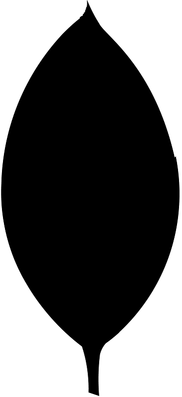Mongodb
