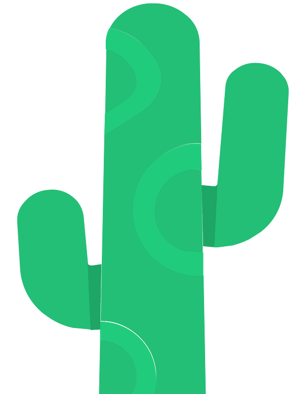 Green cactus