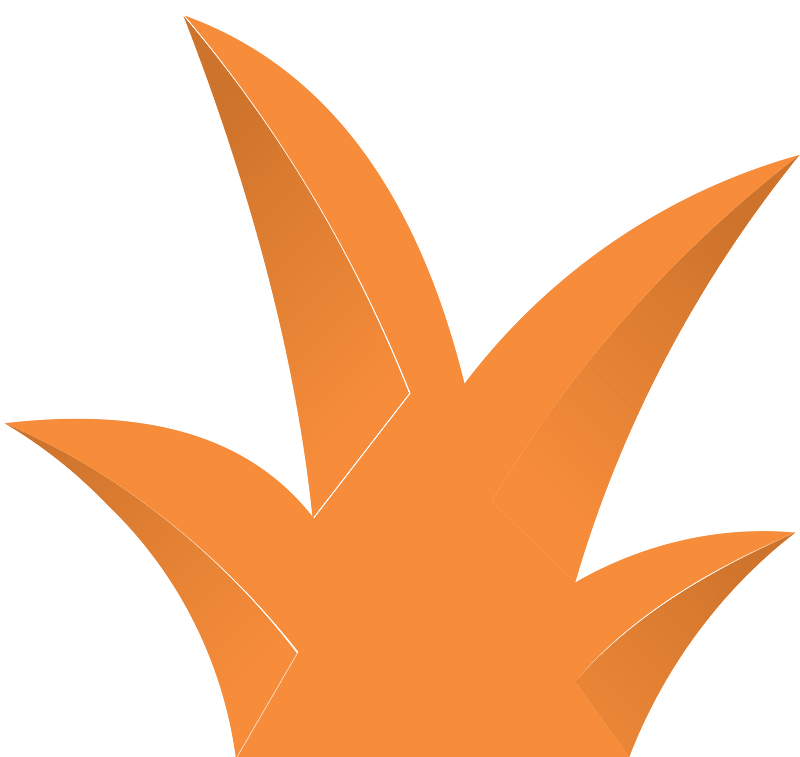 Orange plant