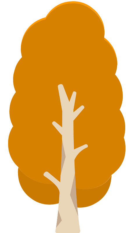 Orange tree 09 deciduous