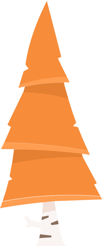 Orange tree 26 coniferous