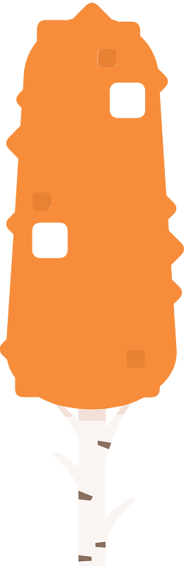 Orange tree 28 deciduous