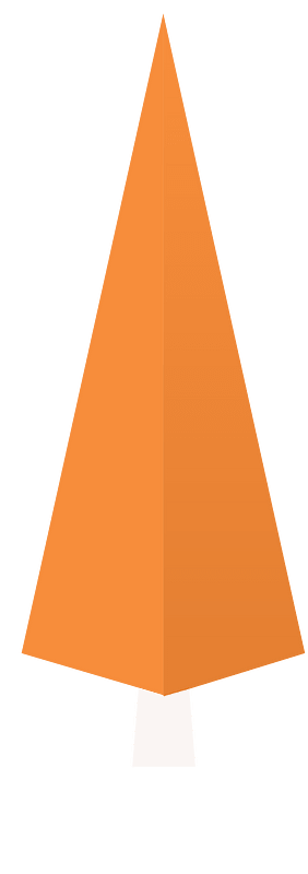 Orange tree 30 coniferous