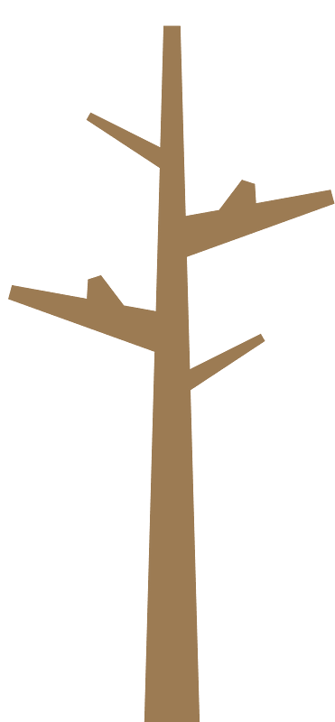 Brown tree trunk
