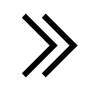 Angle-double-right-solid