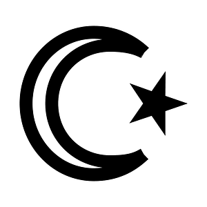 Star-and-crescent-solid