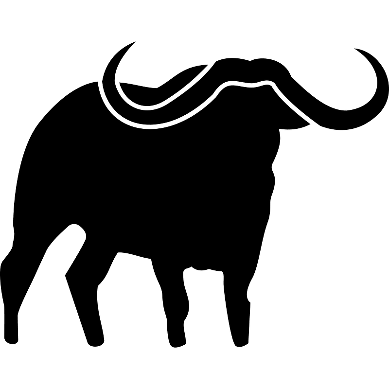 Bison