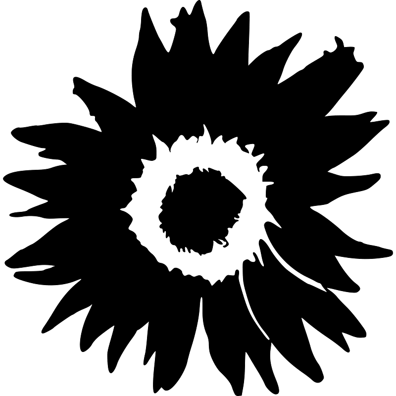 MediaWiki