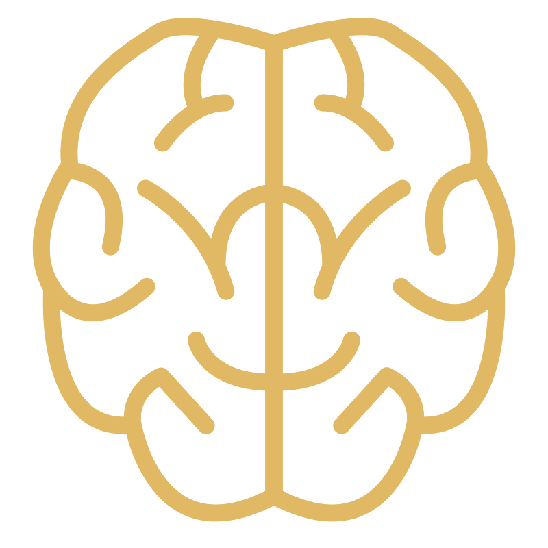 Brain
