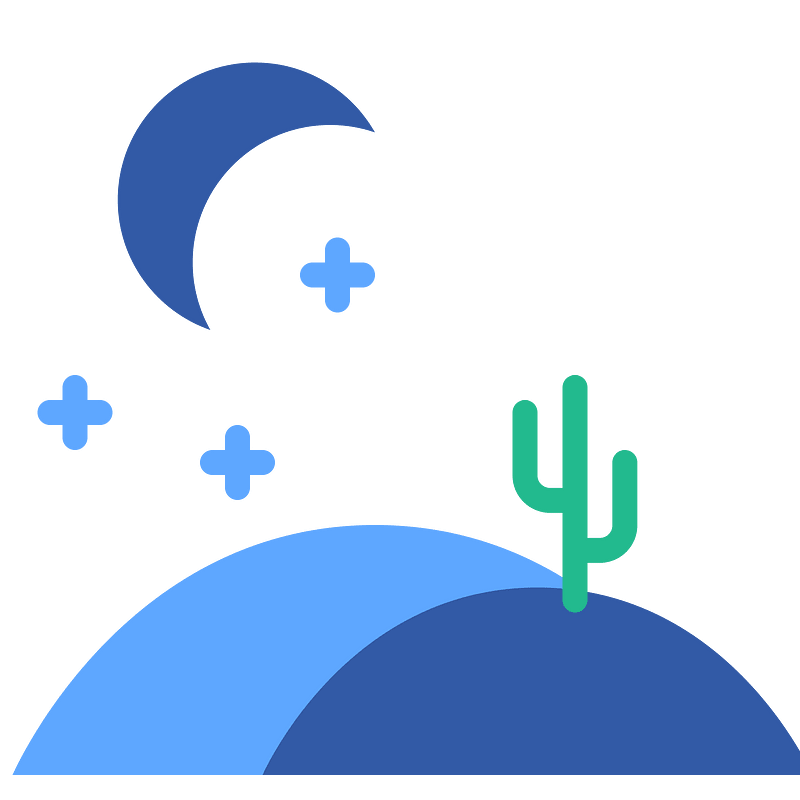 Cactus desert night