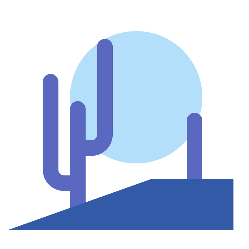 Cactus night