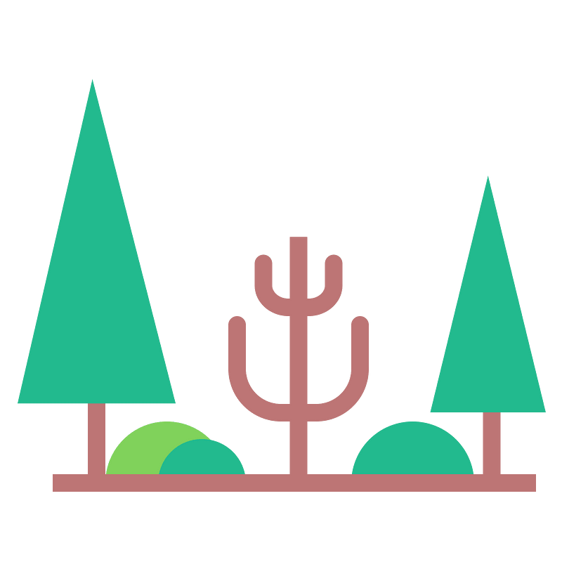Forest cactus