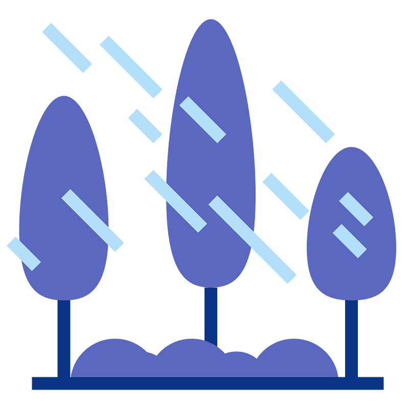 Forest rain night