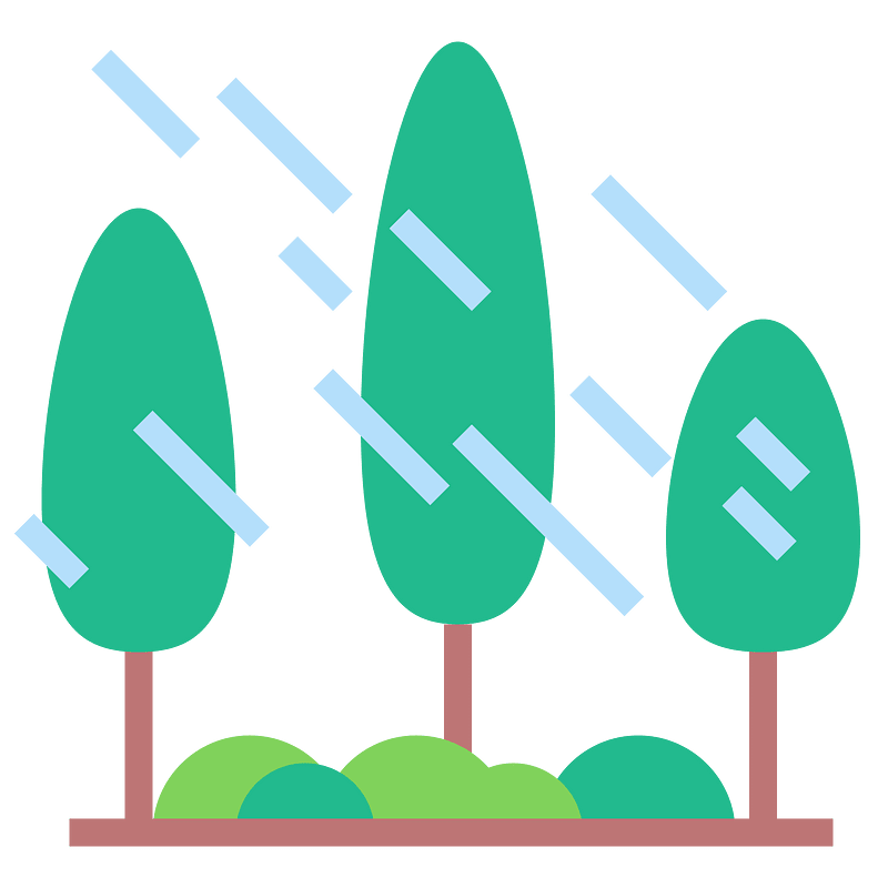 Forest rain