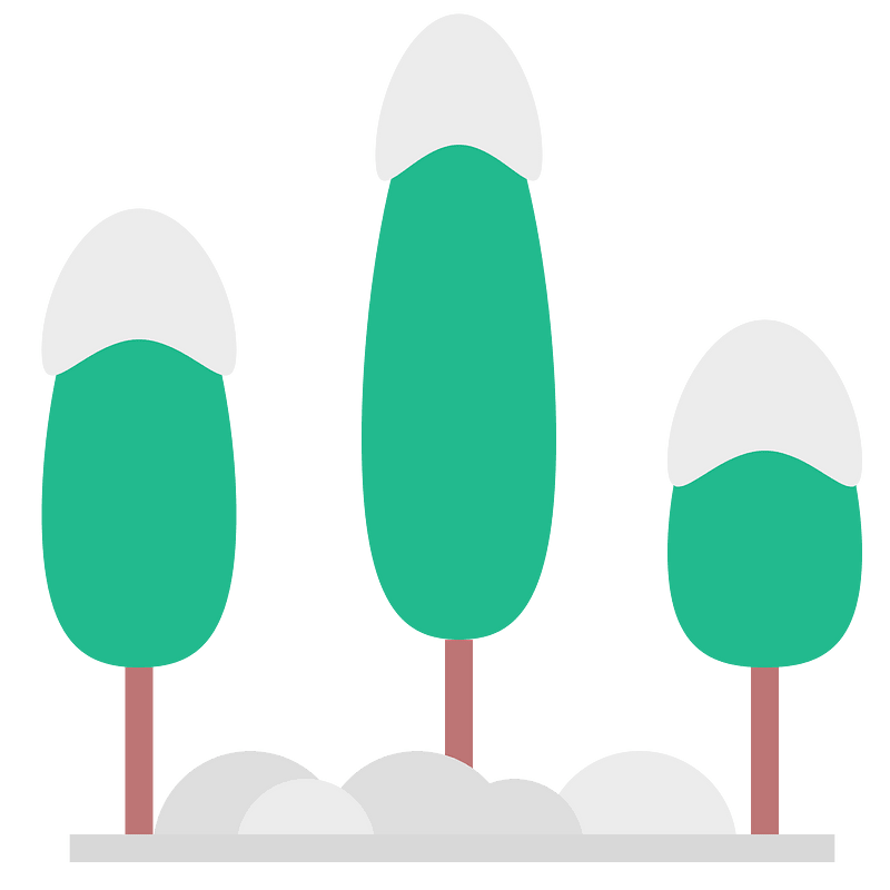 Forest snow