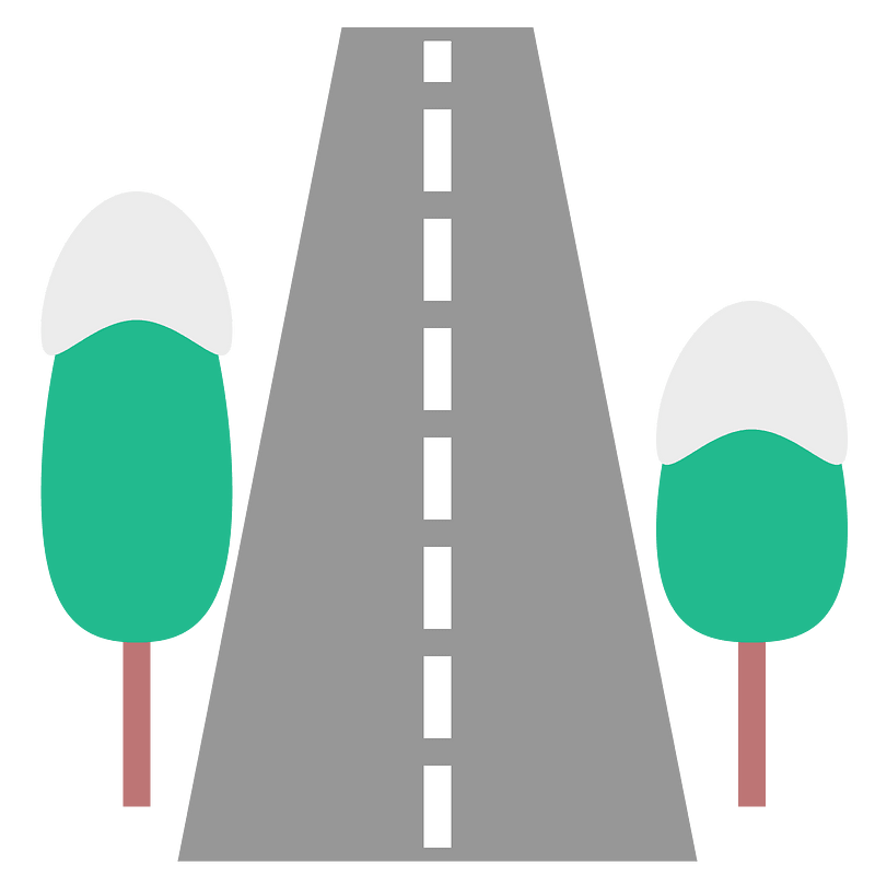 Snow road