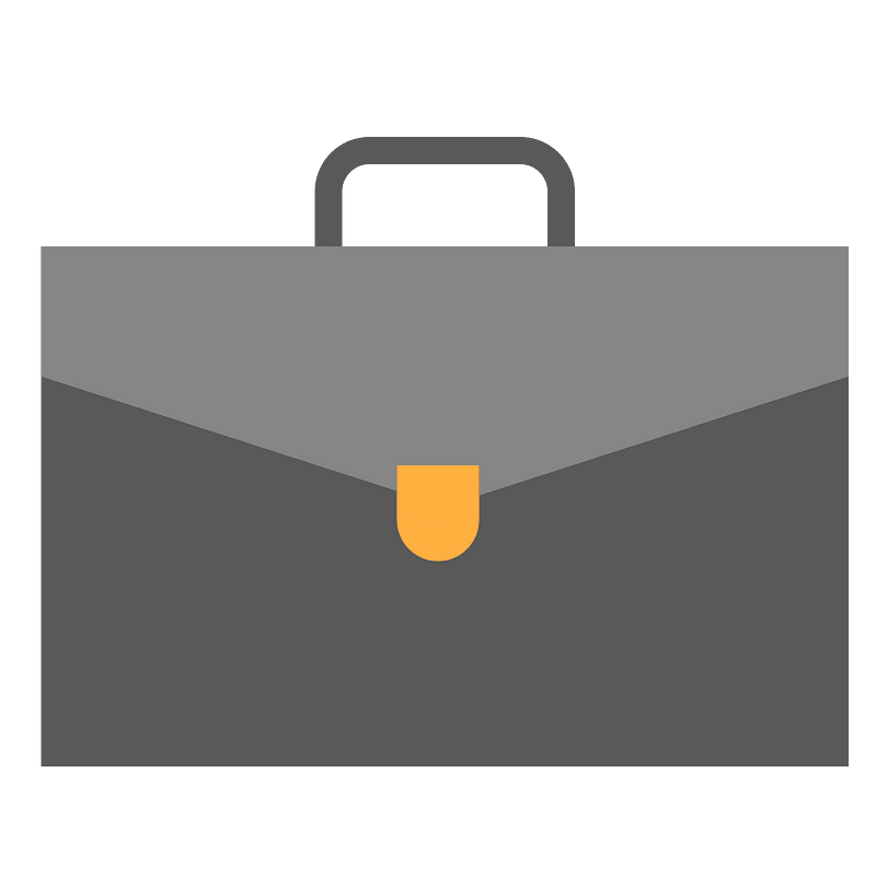 Business bag