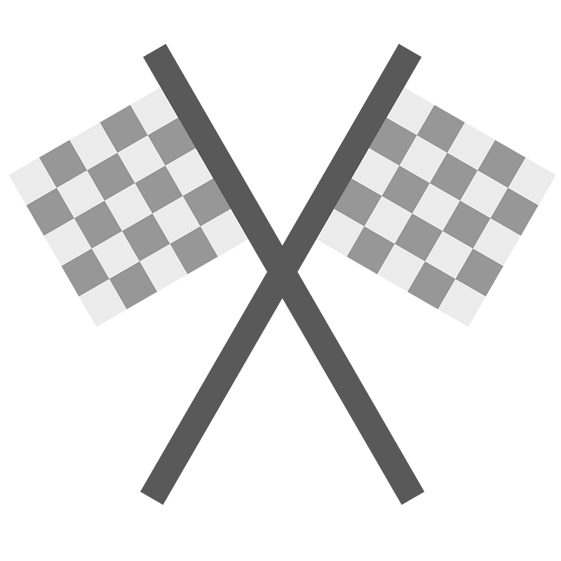 Dual flag race