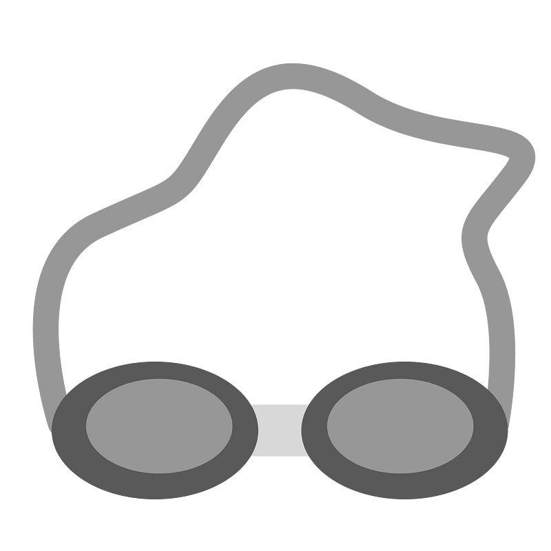 Swim glasses